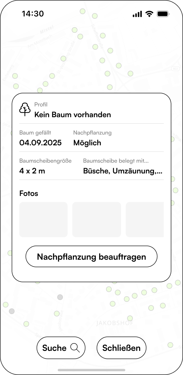 Verstehen: Baumprofil, Möglichkeiten und lokale Regeln auf einen Blick.