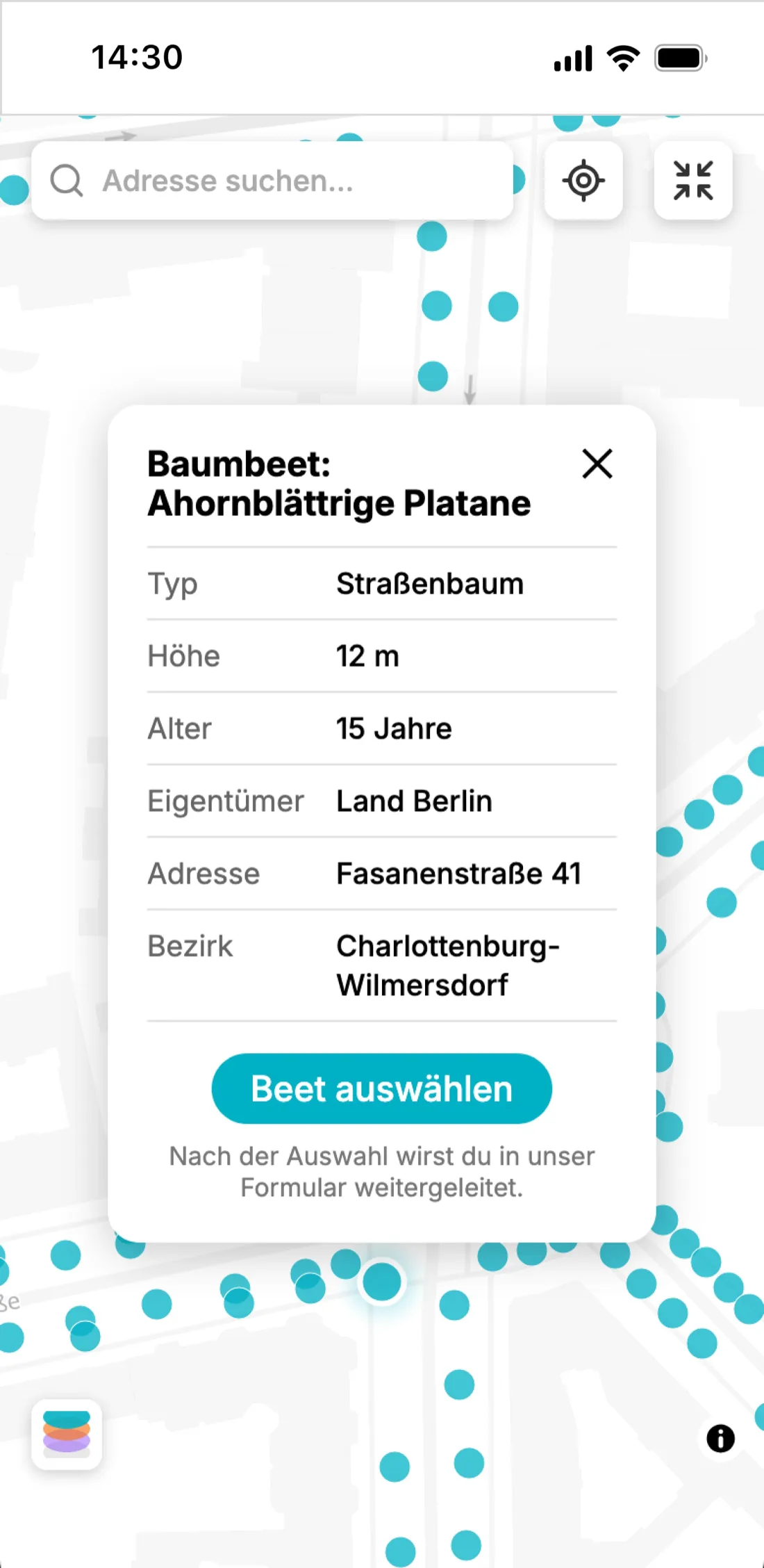Verstehen: Baumprofil, Möglichkeiten und lokale Regeln auf einen Blick.