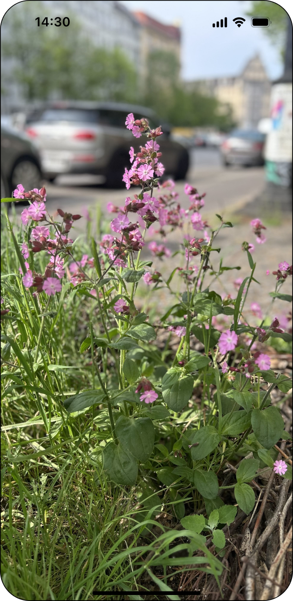 Umsetzen: Mit Nachbar:innen rausgehen und pflanzen.