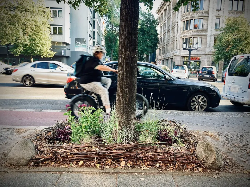Grünfläche mit Bäumen an einem Wasserlauf in der Stadt